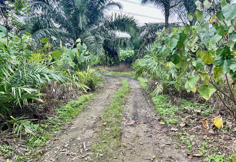 Agriculture Land @ Taiping