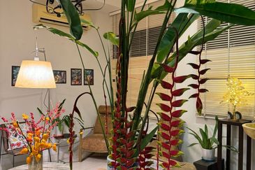 Rafflesia @ The Hill