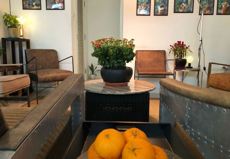 Rafflesia @ The Hill