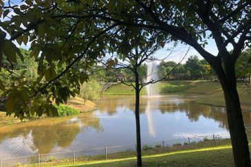 Rafflesia @ The Hill