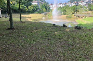 Rafflesia @ The Hill