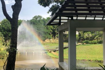 Rafflesia @ The Hill