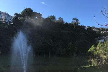 Rafflesia @ The Hill