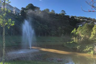 Rafflesia @ The Hill