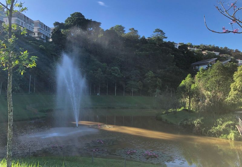 Rafflesia @ The Hill