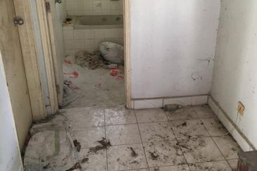 Damansara Heights (Bukit Damansara)