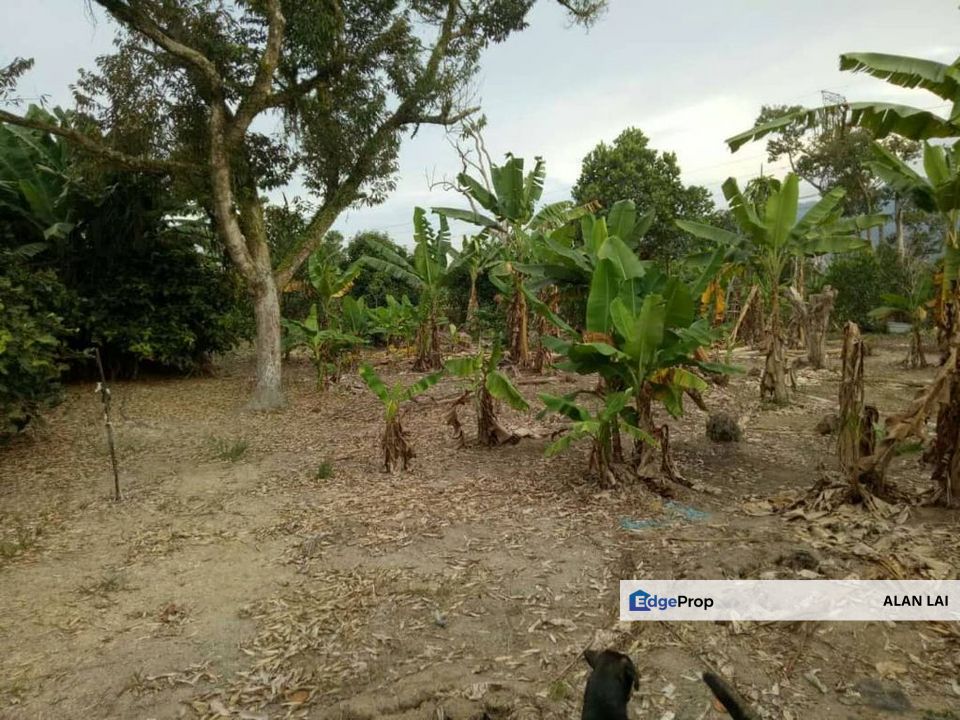 agriculture land pajam mantin, seremban, sembilan, Negeri Sembilan, Mantin