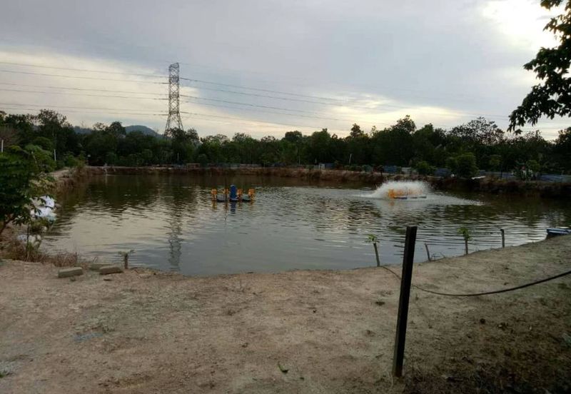 agriculture land pajam mantin, seremban, sembilan