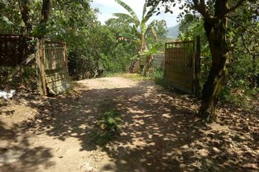 agriculture land pajam mantin, seremban, sembilan