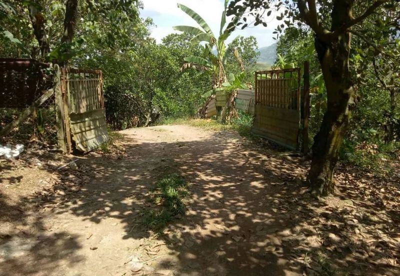 agriculture land pajam mantin, seremban, sembilan