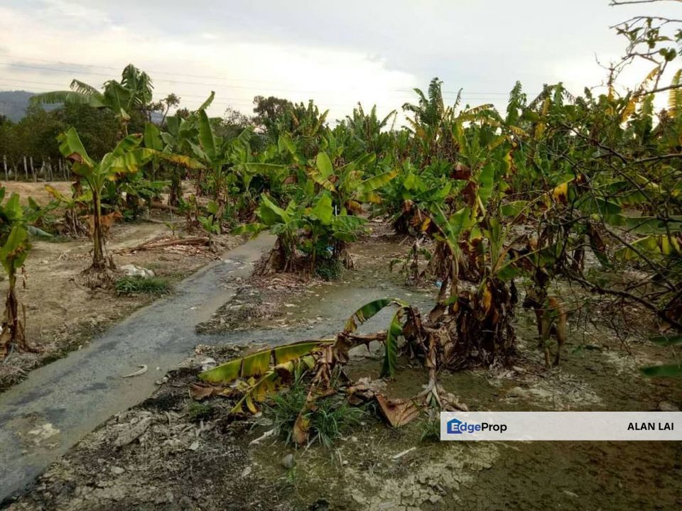 agriculture land pajam mantin, seremban, sembilan, Negeri Sembilan, Mantin