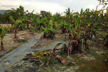 Kampung Baharu Pajam