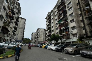 Flat Taman Bunga Negara