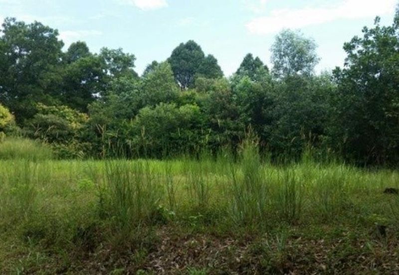 Taman Bukit Meringin