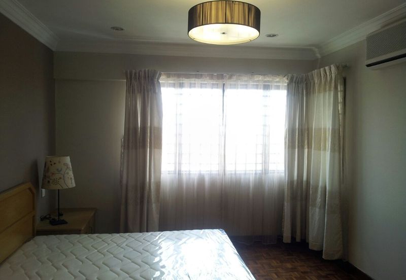 Evergreen Park Acorn and Hazel