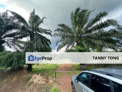 SUNGAI PELEK SEPANG AGRICULTURE LAND FOR SALE, Selangor, Sepang