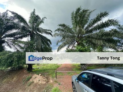 SUNGAI PELEK SEPANG AGRICULTURE LAND FOR SALE, Selangor, Sepang