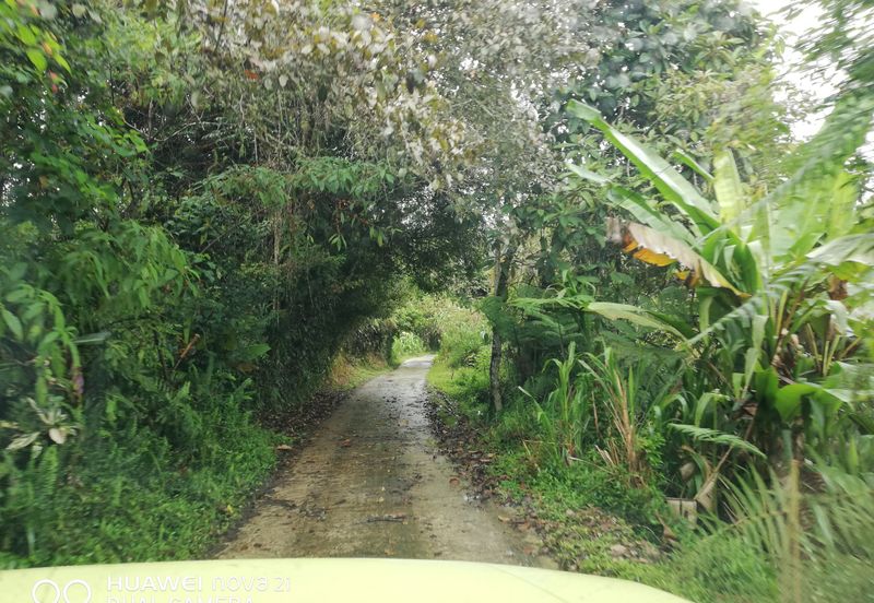 Special Land with private old house For Sale