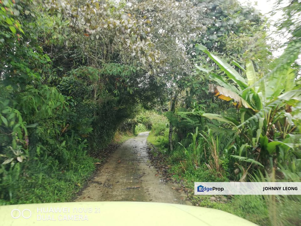 Special Land with private old house For Sale, Pahang, Cameron Highlands