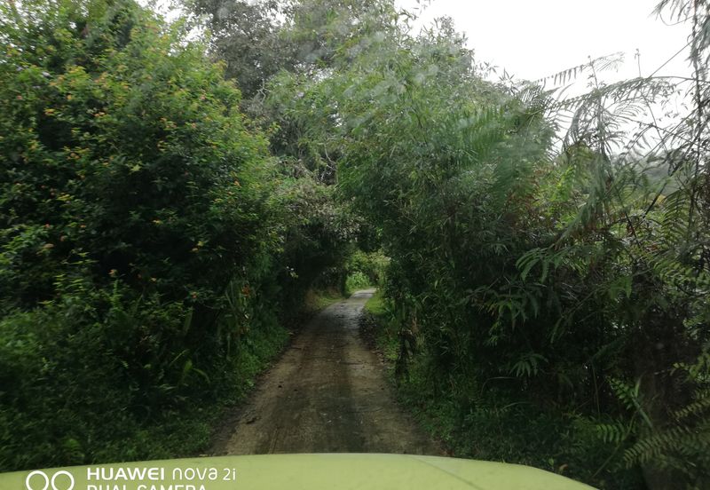 Special Land with private old house For Sale