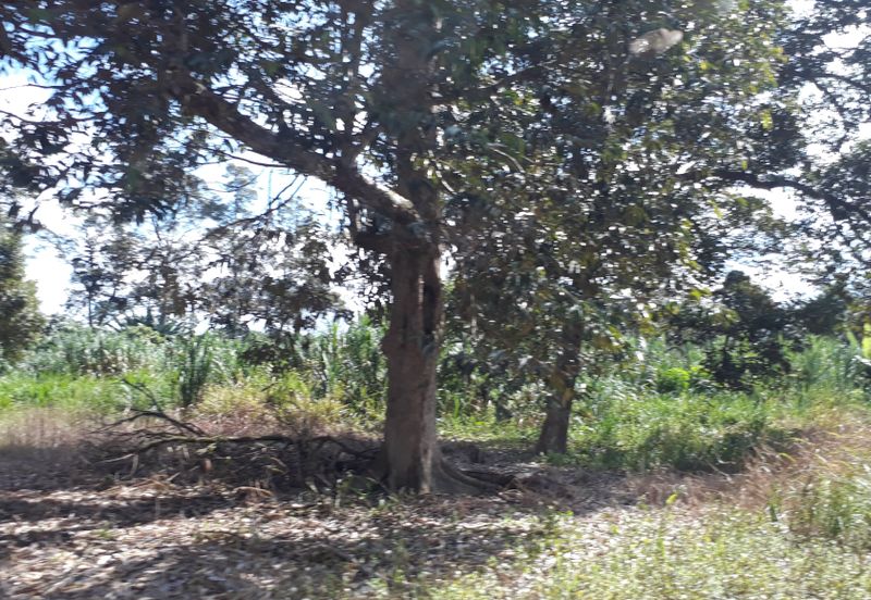 Titit Best eco tourism-Residential land for SALE