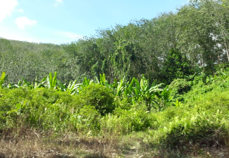 Titit Best eco tourism-Residential land for SALE