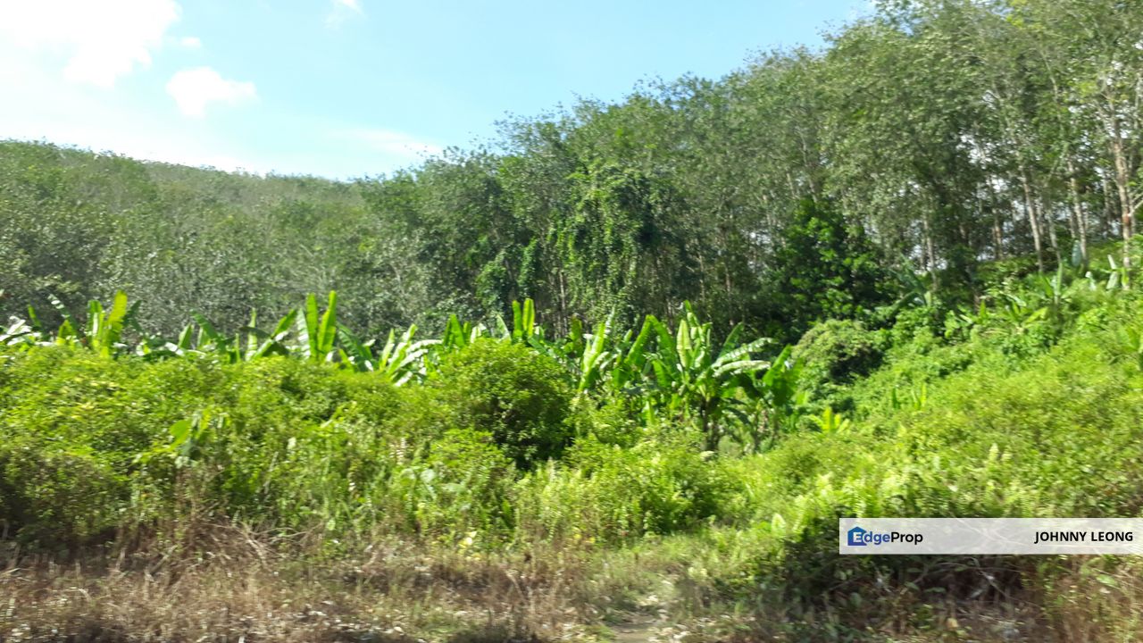 Titit Best eco tourism-Residential land for SALE, Negeri Sembilan, Jelebu