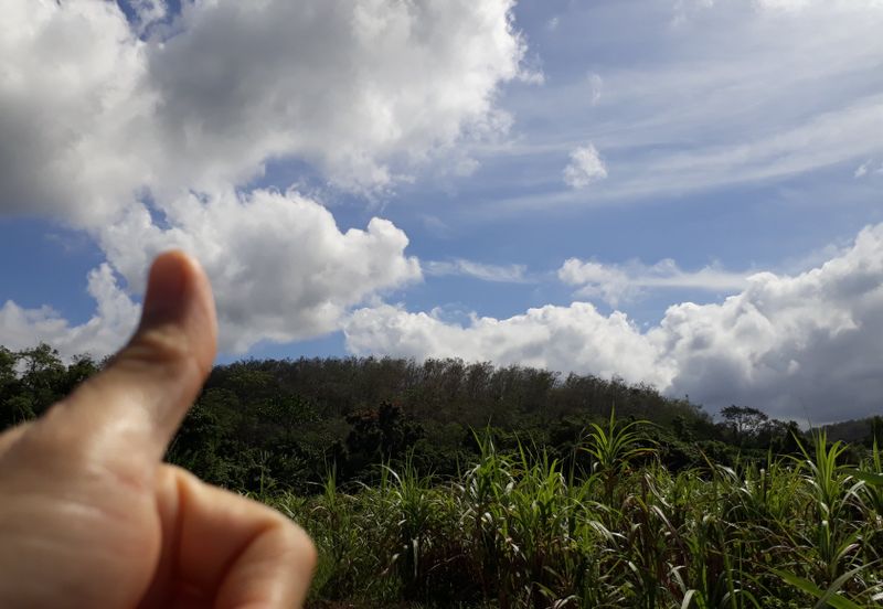 Titit Best eco tourism-Residential land for SALE