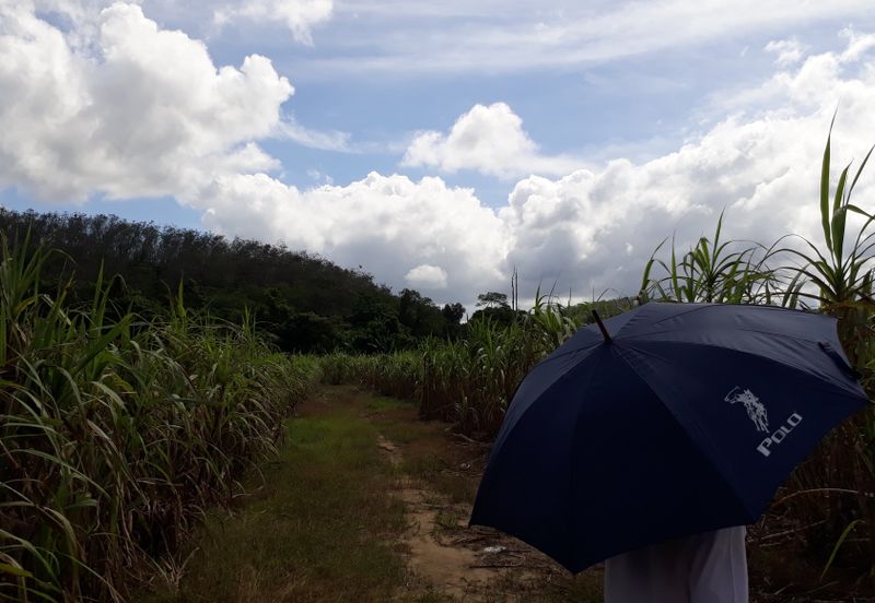 Titit Best eco tourism-Residential land for SALE