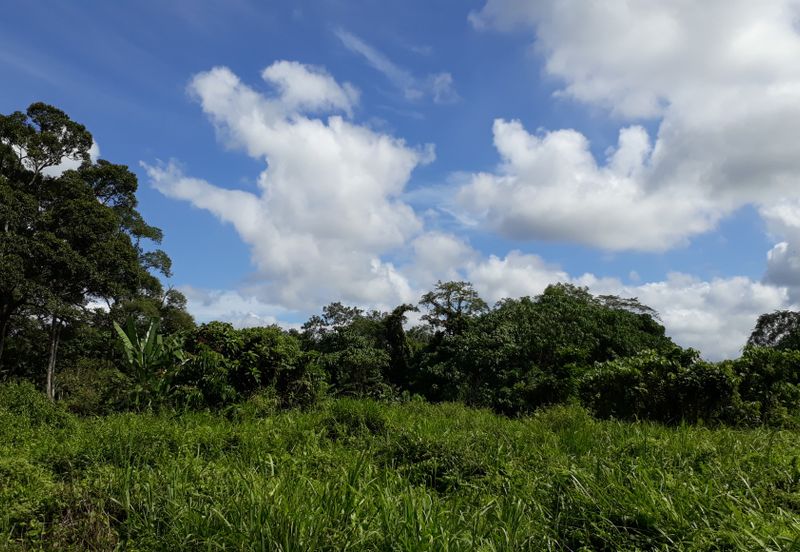 Titit Best eco tourism-Residential land for SALE