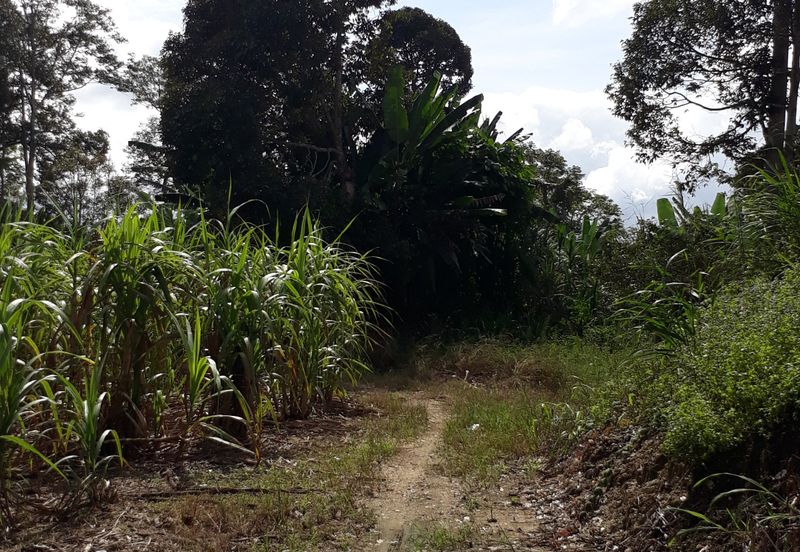 Titit Best eco tourism-Residential land for SALE