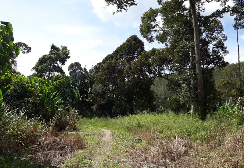 Titit Best eco tourism-Residential land for SALE