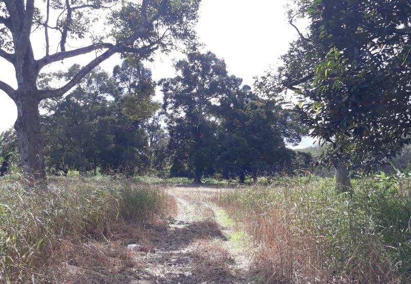 Titit Best eco tourism-Residential land for SALE