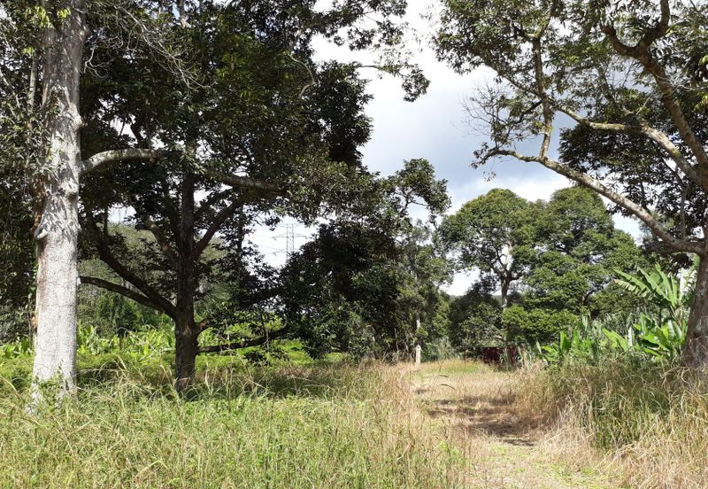 Titit Best eco tourism-Residential land for SALE