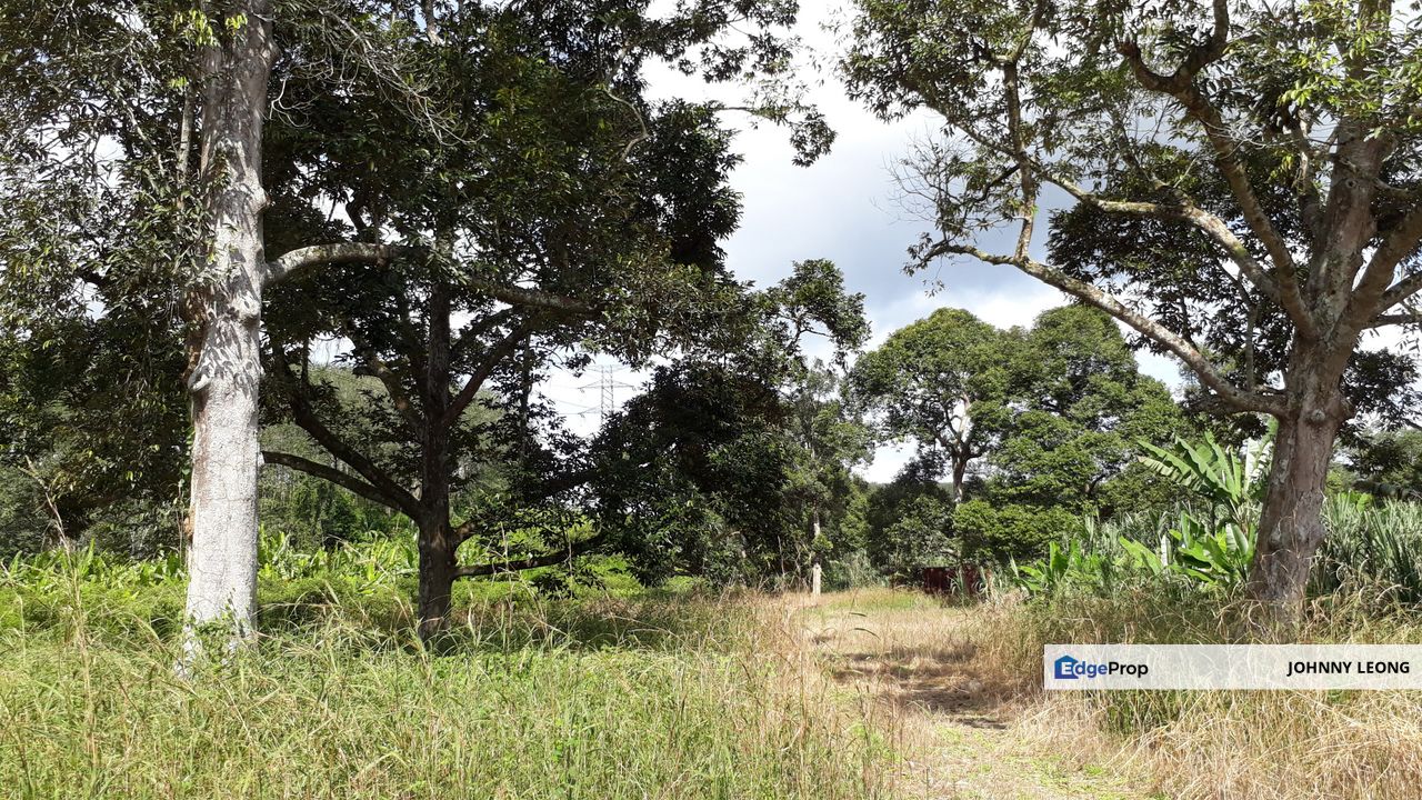 Titit Best eco tourism-Residential land for SALE, Negeri Sembilan, Jelebu