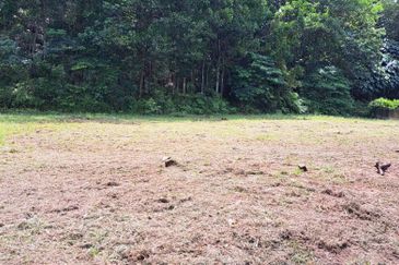 Seksyen 8, Kota Damansara