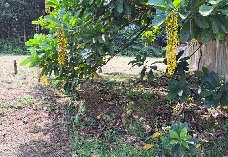 Seksyen 8, Kota Damansara