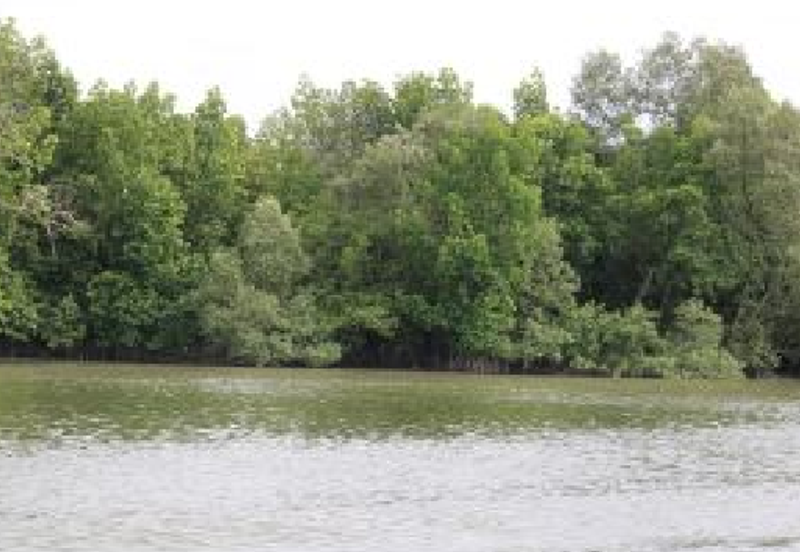 Bandar Sultan Suleiman Industrial Area