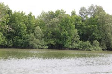 Bandar Sultan Suleiman Industrial Area