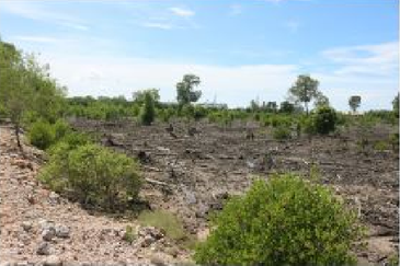 Bandar Sultan Suleiman Industrial Area