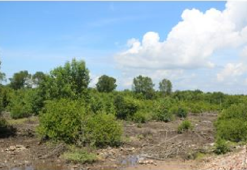 Bandar Sultan Suleiman Industrial Area