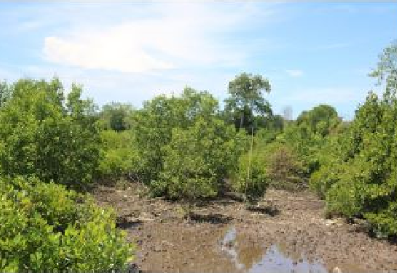 Bandar Sultan Suleiman Industrial Area