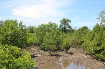 Bandar Sultan Suleiman Industrial Area