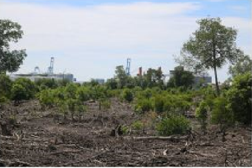 Bandar Sultan Suleiman Industrial Area