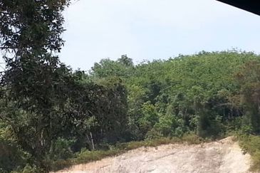 PRICE REVISED - TERENGGANU - PINTU GERBANG DUNGUN Tanah Hakmilik Kekal di RTP Pintu Gerbang Dungun