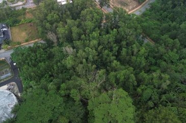 Jalan Rimba Riang 9/9