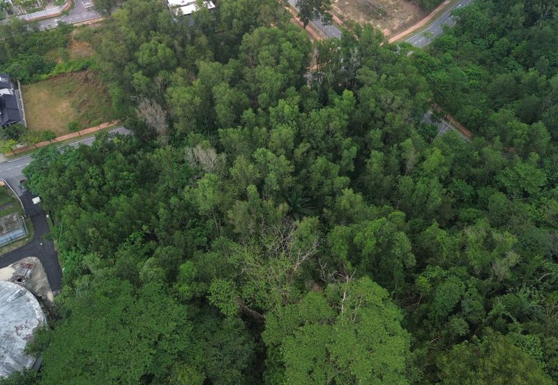 Jalan Rimba Riang 9/9