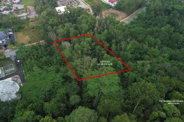 Jalan Rimba Riang 9/9