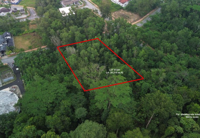 Jalan Rimba Riang 9/9