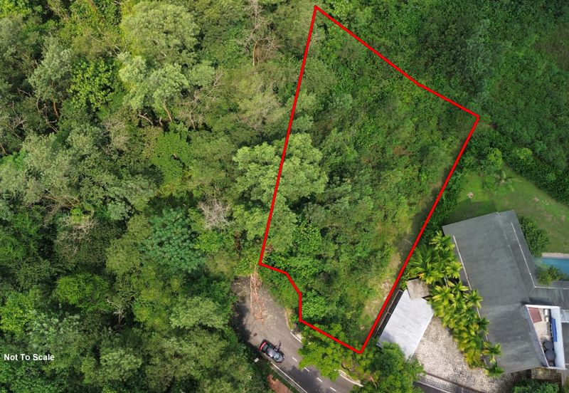 Jalan Rimba Riang 9/9